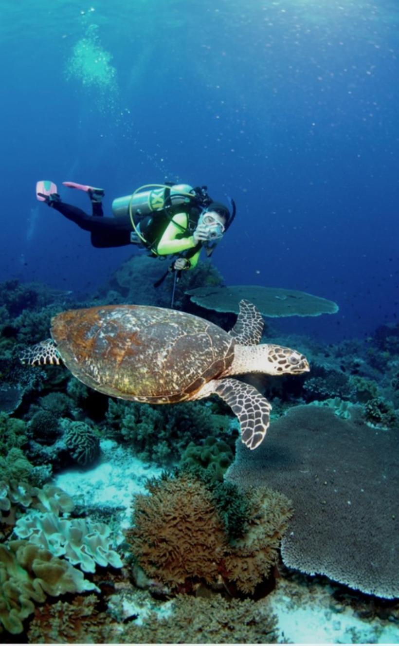 מואלבואל Nirvana Bamboo Houses & Dive Resort מראה חיצוני תמונה